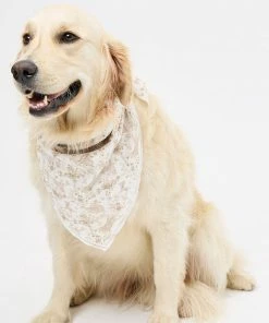 Frankie's Bikinis NEW IN Heidi Head Scarf