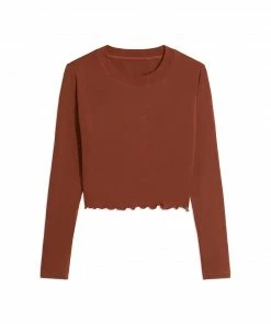 We Wore What CREW NECK LONG SLEEVE CROPPED TEE (BROWN)