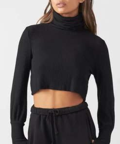 Joah Brown Cropped Turtleneck Sweater