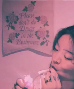 OnFemme By Lindsey's Kloset Don't Do Drugs Pennant NEW IN