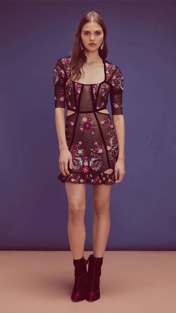 For Love And Lemons Esther Embroidery Mini Dress 1 For Love And Lemons Esther Embroidery Mini Dress