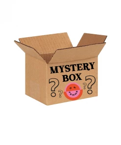 OnFemme By Lindsey's Kloset MINI MYSTERY BOX NEW IN
